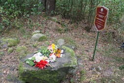 1 copy copy copy copy copy copy copy